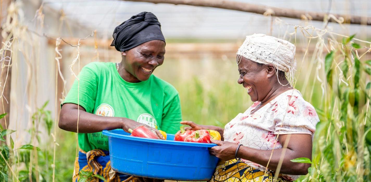 Rwanda Greenhouse