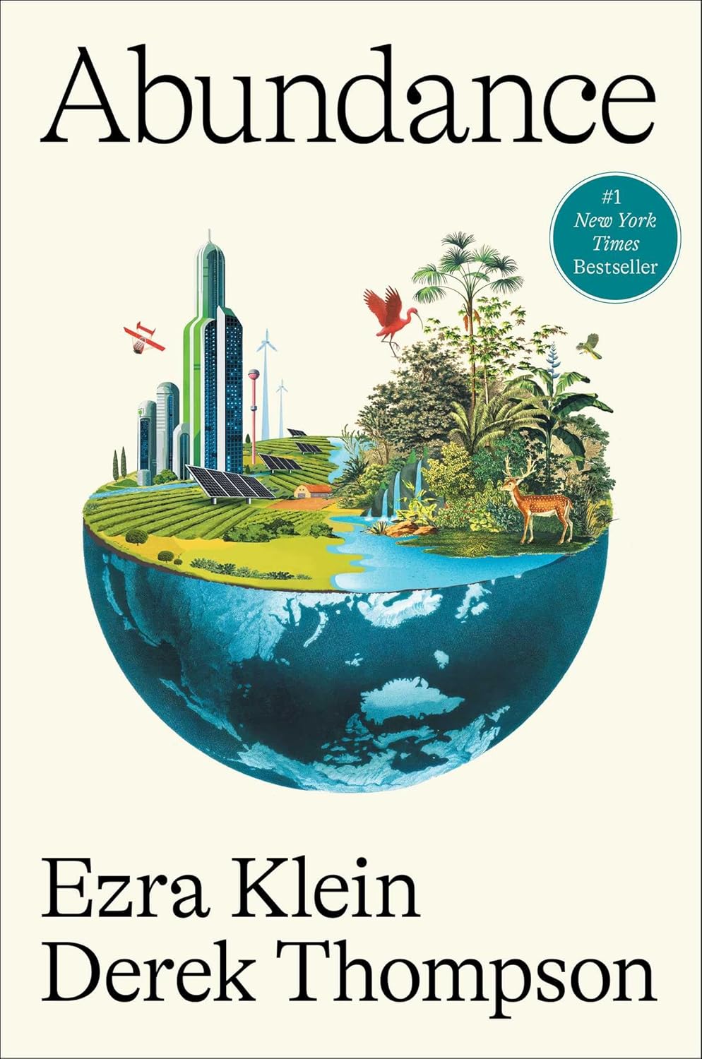 Abundance book cover