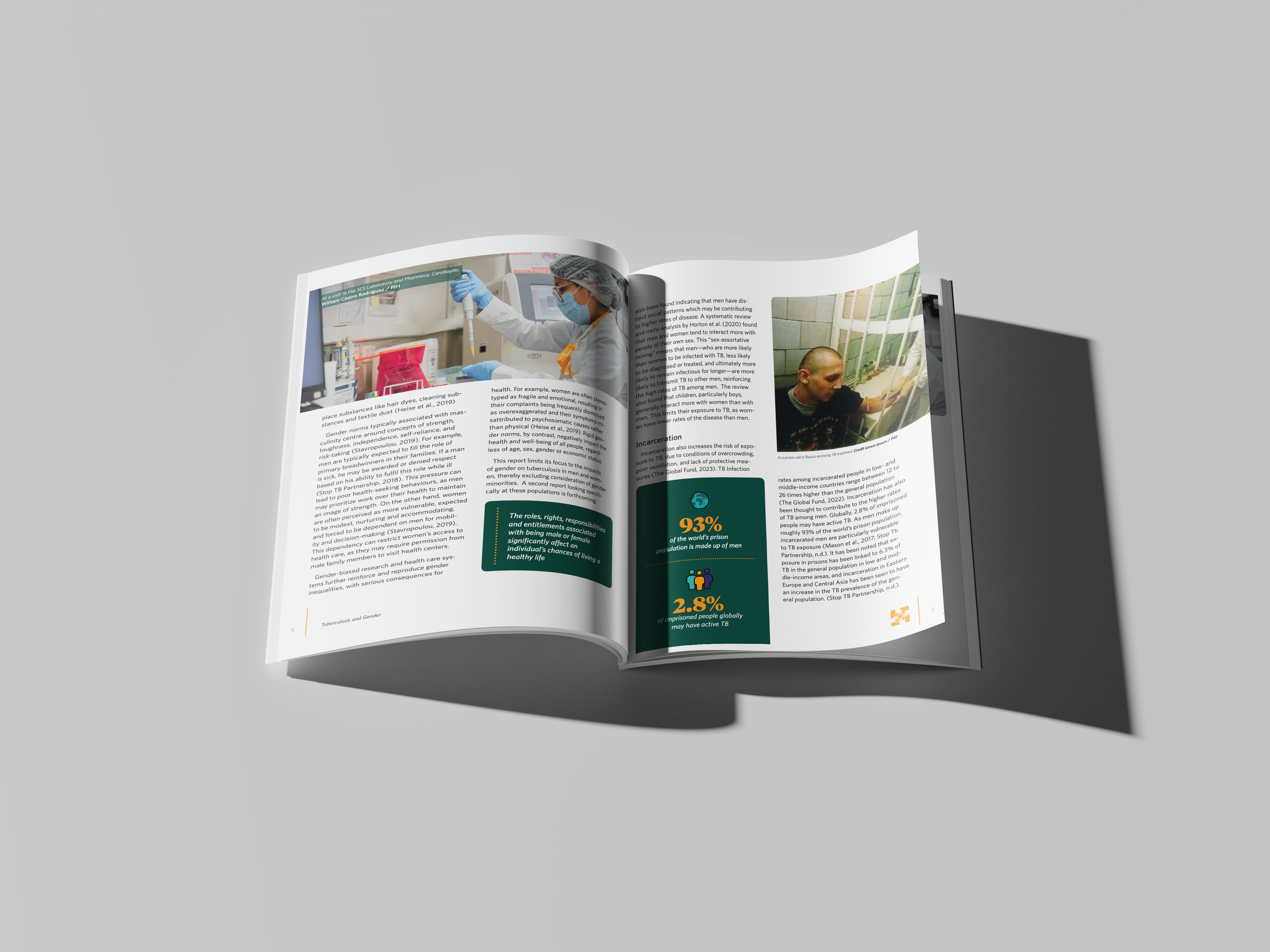 TB and Gender Inside Pages