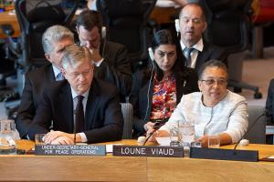 Loune Viaud addresses Security Council members