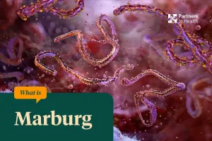 Microscopic organisms floating. 