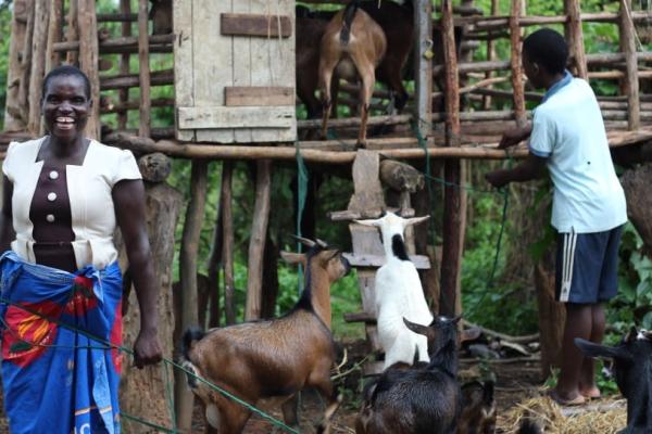 Family with their goats in Neno, Malawi