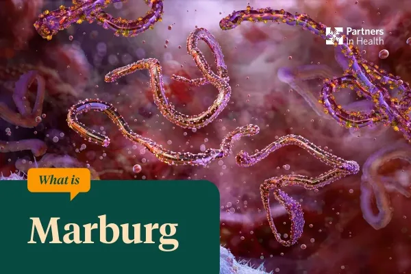 Microscopic organisms floating. 