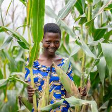 Uwizeyimana Garas stands in a corn field that she helps maintain and harvest as part of the Twigiriricyizere Self-Help Group.