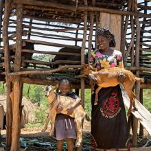 Milliam Kerekesa and her nephew Stanley carry goats provided through PIH Malawi's Poser Goat Seed Program, promoting sustainability and community empowerment in Neno.