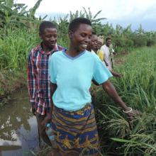 PIH’s collaborative rice farming program in Rwinkwavu, Rwanda