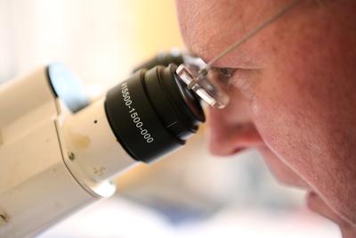 Dr. Farmer reviews a sample of cells through a microscope.