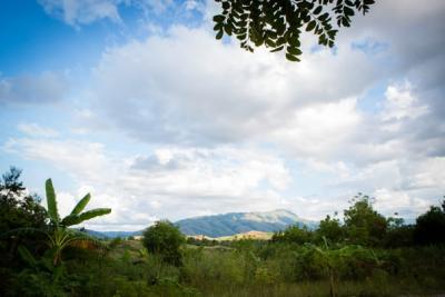 The view behind Darius’s home.