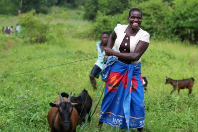 Woman with her goats in Malawi