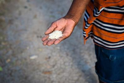 Rice in hand. 