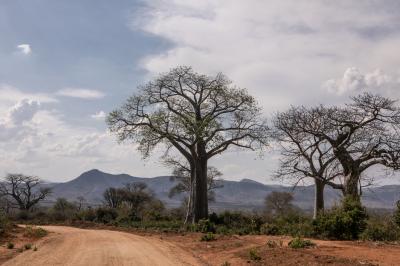 Rural Malawi
