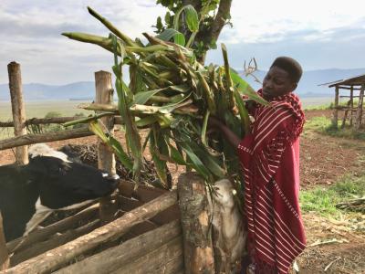 a single mother and breast cancer survivor, works hard on her family’s land in Butaro, Rwanda