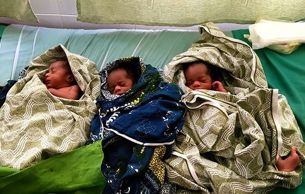 Three newborns